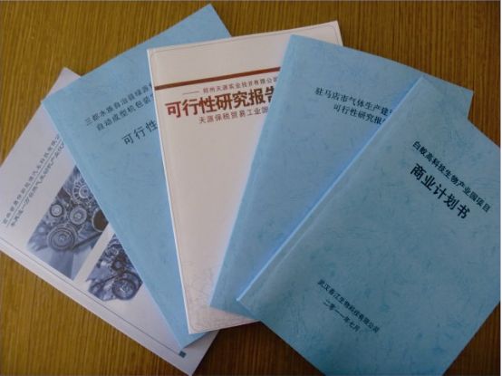 项目申请报告